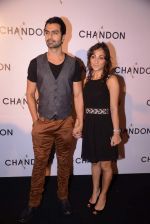 Ashmit Patel at Moet Hennesey launch of Chandon wines made now in India in Four Seasons, Mumbai on 19th Oct 2013